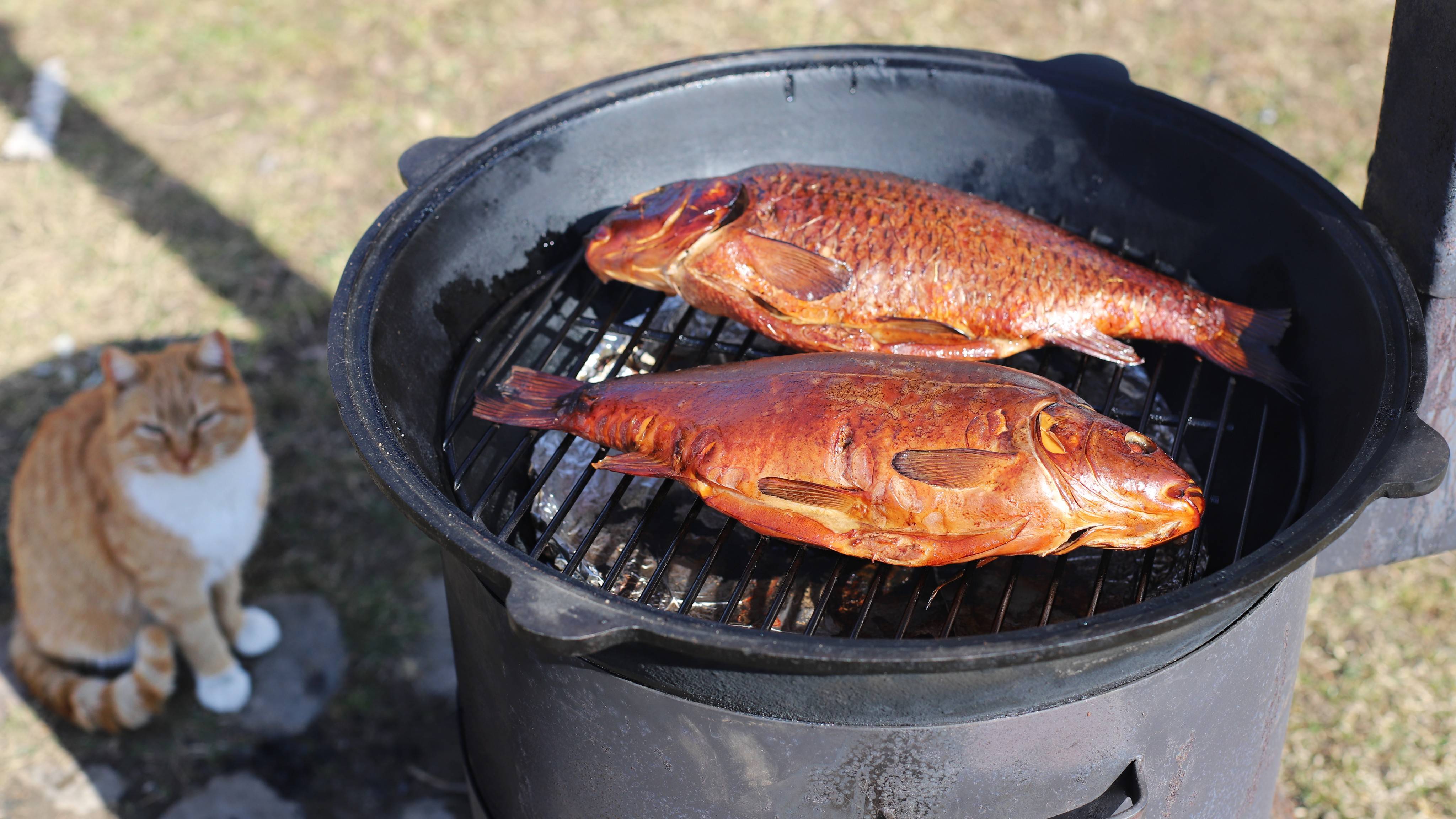 СЕНЯ В ДЕЛЕ
