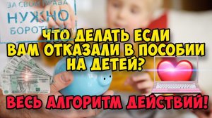 Что делать если Вам отказали в получении пособия на детей  Основания для отказа. Алгоритм действий.