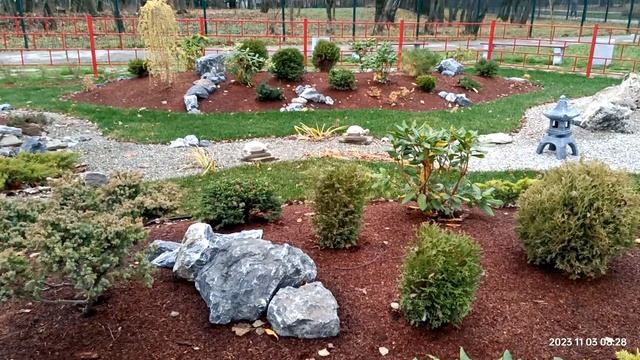 Бонсаи в Тульском парке им. Белоусова смотреть онлайн