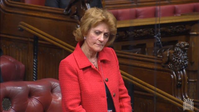 Lords questions on reforming police recruitment | House of Lords смотреть онлайн