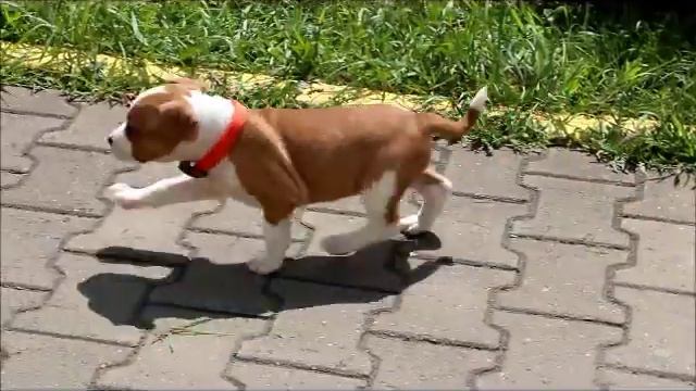 москва 1 смотреть онлайн