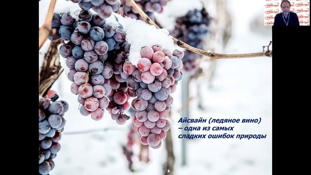 Австрия. Альпийская сказка - Игорь Шварц.  אופיר טורס | Ophir Tours