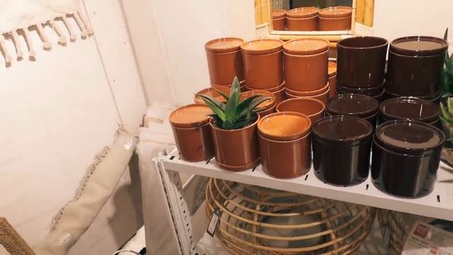 Вместе по магазинам для дома | Интерьерный магазин | Цветочные магазины | Выбираю цветочный горшок смотреть онлайн