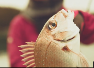 Рыбалка Удилище PURELURE, спиннинговое удилище