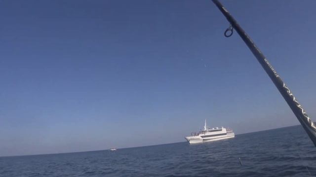 Рыбалка на катере. Черноморская ставрида. Крым 2021 смотреть онлайн