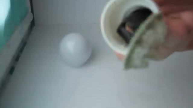 Светодиодная лампа HA007-12L (устройство, разборка) / DealExtreme смотреть онлайн