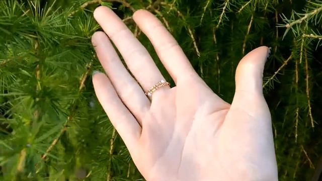 Daimi Кольцо с жемчугом и покрытием из золота 18к / AliExpress смотреть онлайн