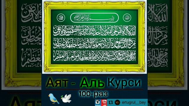 Аятуль Курси С пением птиц, Басир Дураку