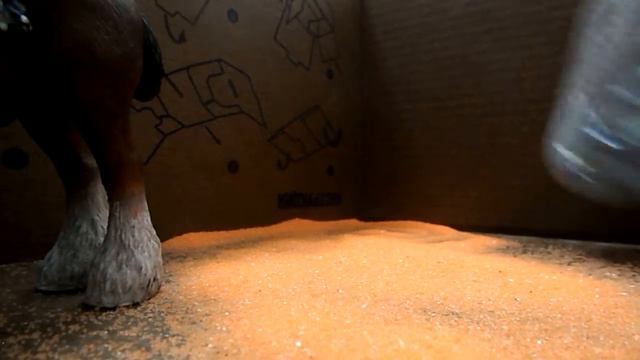 Новый манеж (временный) смотреть онлайн