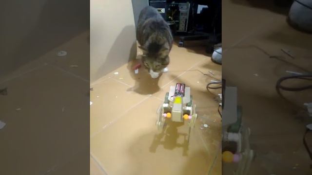 mecanismo THEO JANSEN смотреть онлайн