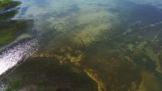 Sportsman's Paradise | Matagorda Peninsula Ranch | Port O'Connor, Texas смотреть онлайн