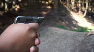 Colt Model 1908 25 ACP