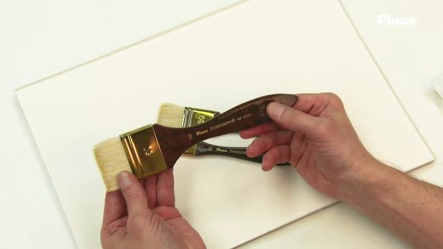 Pinax POSEIDON 820 Флейц Коза смотреть онлайн