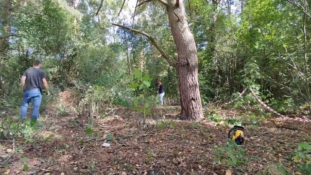 #4 Купил заброшенный участок для будущего дома/ ХОРОШЕНЬКО Поработали/ 2022 смотреть онлайн