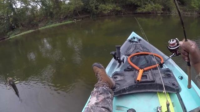 HOT sunfish bite after a storm: Kayak Creek Fishing смотреть онлайн