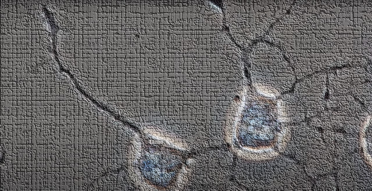 Как общаются нейроны в голове человека?