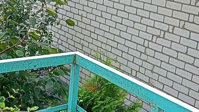 Дом в Воронеже +79155875083 смотреть онлайн
