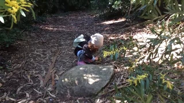 Озера Португалии. Голубое озеро Синтра Португалия смотреть онлайн