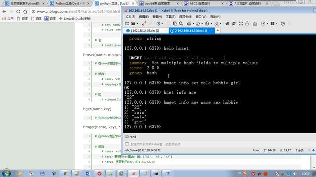 python全栈3 day103 03 redis hash 操作 смотреть онлайн