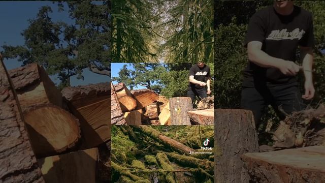 Jumping knife technique ?#knifethrowing #knives #life #malemodels #blades #nature #danger смотреть онлайн