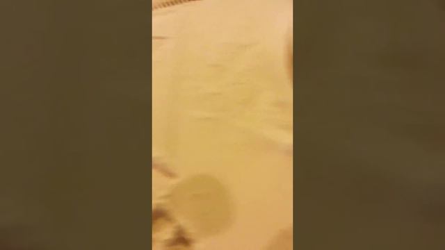 История про Терминал смотреть онлайн