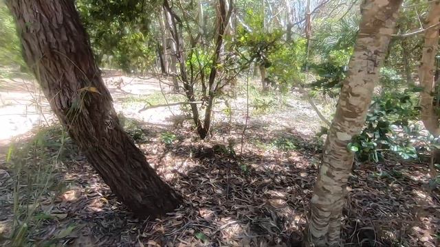 DEEPWATER NATIONAL PARK - Baffle Creek to Agnes Water смотреть онлайн