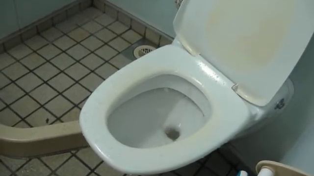 Супер унитаз.Два в одном - унитаз и биде сразу!