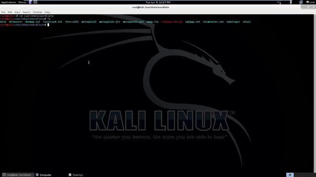 kali linux default wordlist path directory смотреть онлайн
