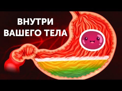 Путешествие по вашему телу смотреть онлайн