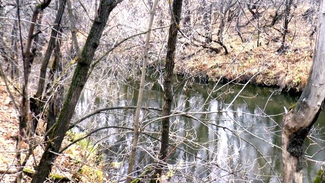 Alessandro Ignazio Marcello Adagio А Марчелло 2016 г смотреть онлайн