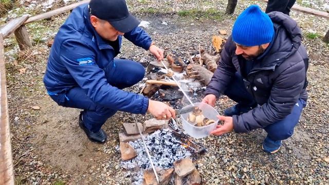 Умная техника и шаг в будущее домашнего хозяйства