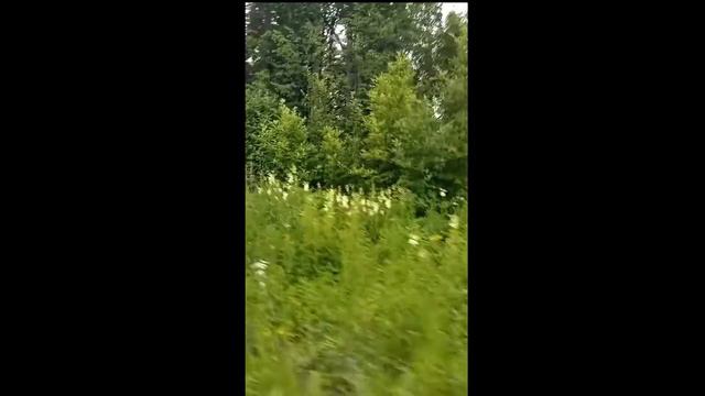 ПРИРОДА И ЖИВОТНЫЕ П. Ферма и Горный (ПЕРЕЗАЛИВ СО СТАРОГО КАНАЛА) смотреть онлайн