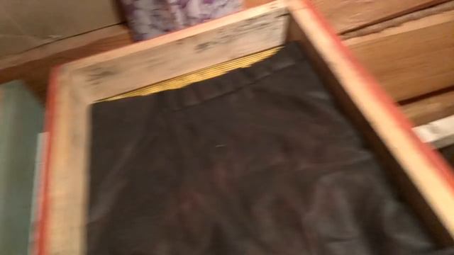 Проверка пчел в зимовнике 20 января 2018г. смотреть онлайн