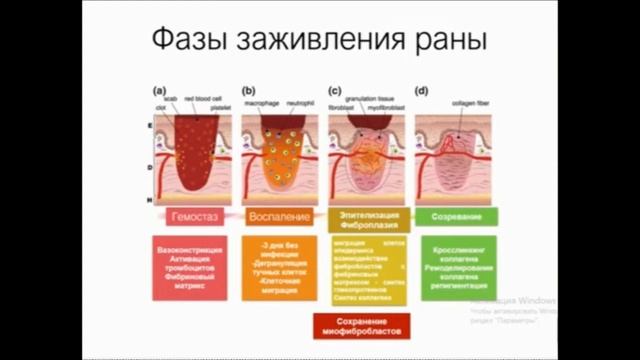 Формирование рубца смотреть онлайн