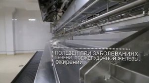 Савушкин продукт. Производство зерненого творога