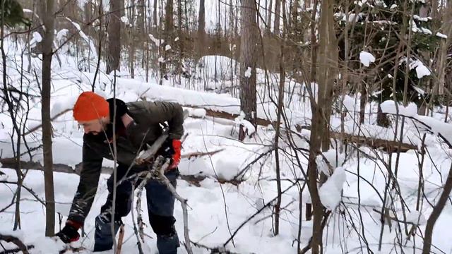 Лыжная прогулка Синево-Капеасалми (11 марта 2023) смотреть онлайн
