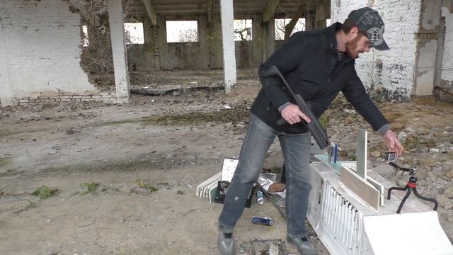 ДРОЗД ПРОТИВ ГИПСОКАРТОНА