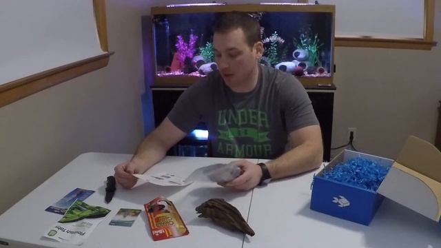 Review of My Aquarium Box #2 by Electric Blue Aquariums. смотреть онлайн