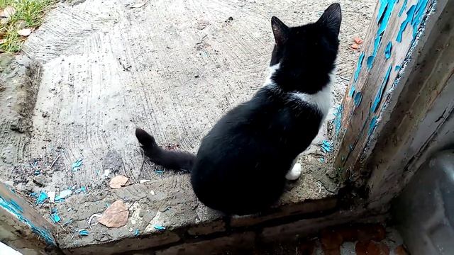 У нас Сезон ДОЖДЕЙ продолжается?. В ПОДВАЛЕ полно ВОДЫ?. Работы ПРИБАВИЛОСЬ?. 8 ноября 2023г??. смотреть онлайн