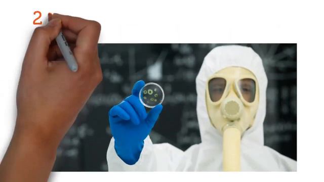 Mold Remediation Miami | Mold Removal Doctor Miami смотреть онлайн