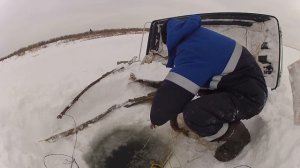 #Туруханск #Рыбалка #Трофей 
Такого трофея я не ожидал!