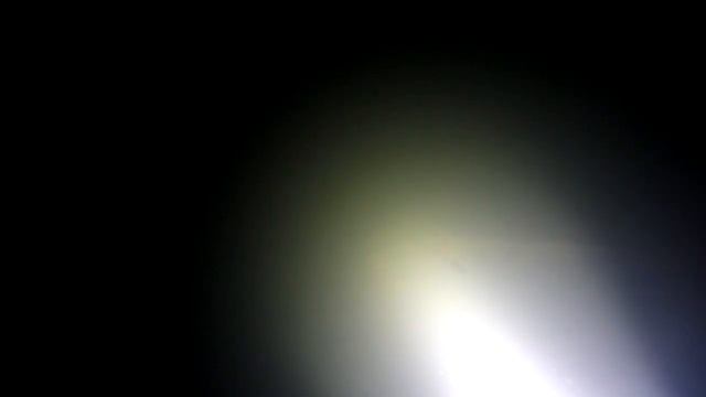 Нашел Большого СОМА ночью!Подводная охота на сома и судака 2020! смотреть онлайн