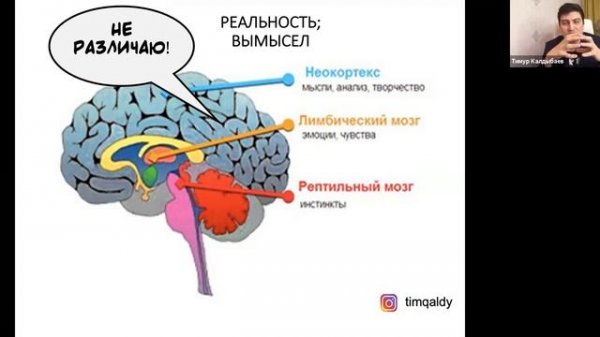 AlmaU Business Lifehacks: Дизайн мышление в бизнесе