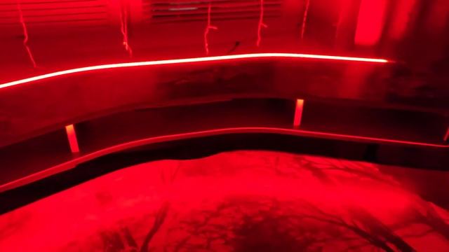 Модель XS с принтом (домашняя съёмка) смотреть онлайн