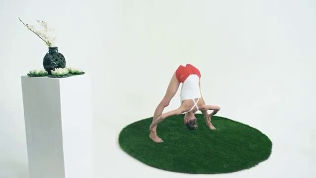 Прасарита падоттанасана смотреть онлайн