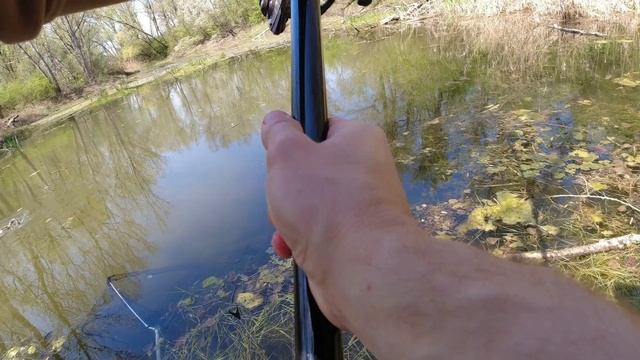 ЗАБРОШЕННОЕ ОЗЕРО ПОЛНОЕ РЫБЫ. Почему здесь никто не рыбачит? Рыбалка на поплавок 2023 смотреть онлайн