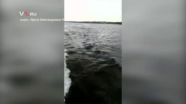 Последнее видео пассажиров катамарана "Елань-12" смотреть онлайн
