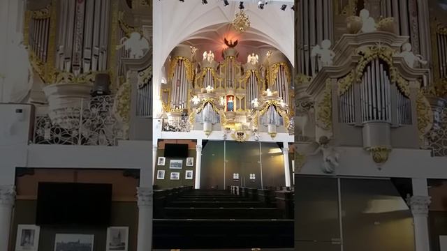 Калиниградский орган смотреть онлайн