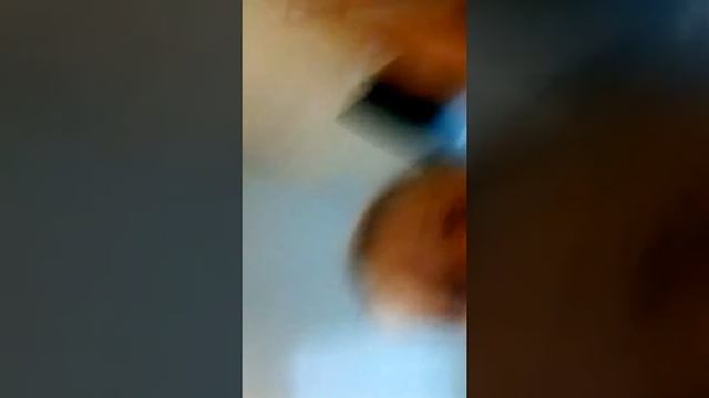 Учусь быть гибкой? смотреть онлайн