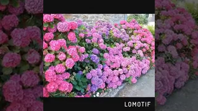 Тот дева Мария(44) смотреть онлайн